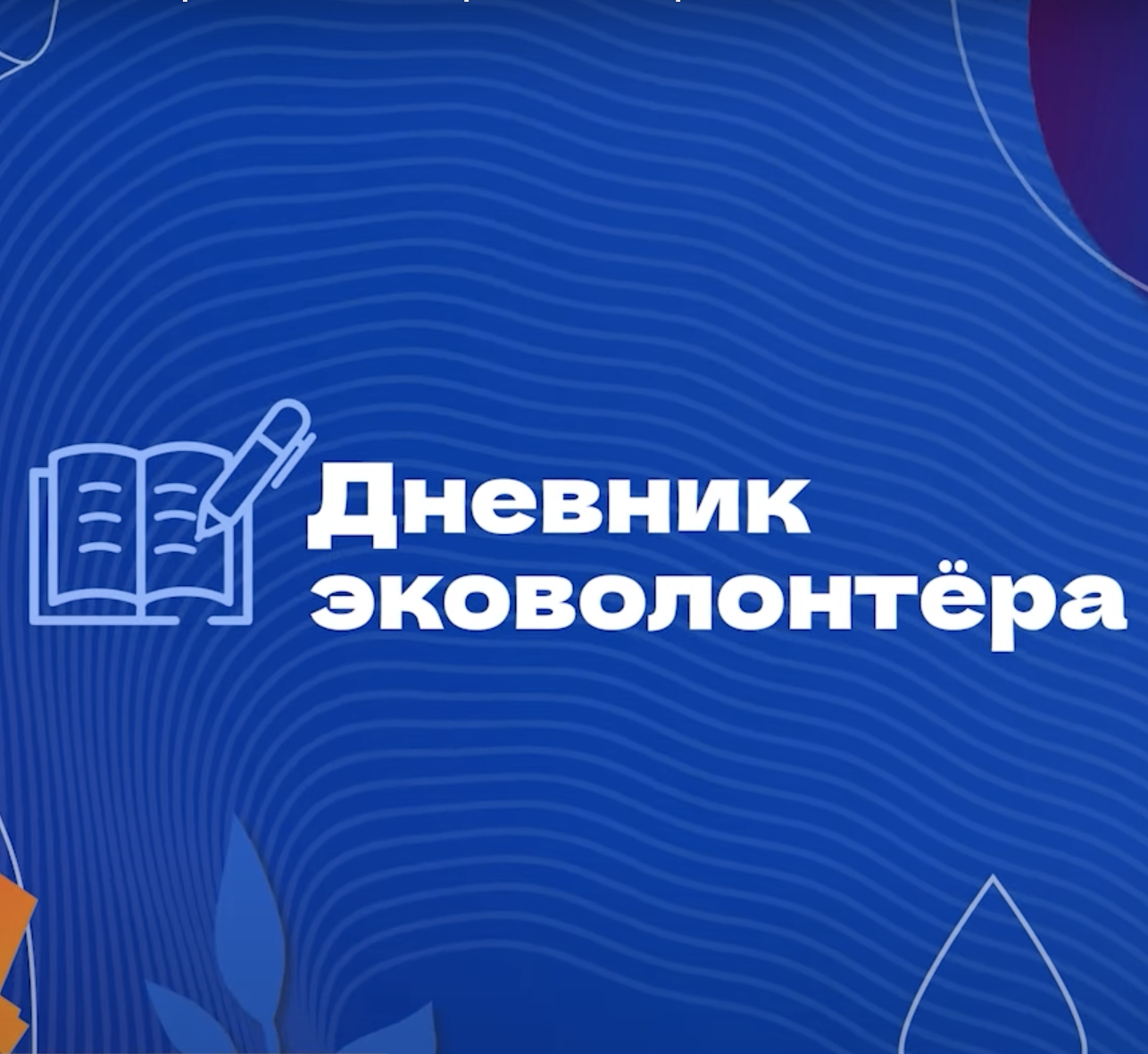 Дневник Волонтёра.